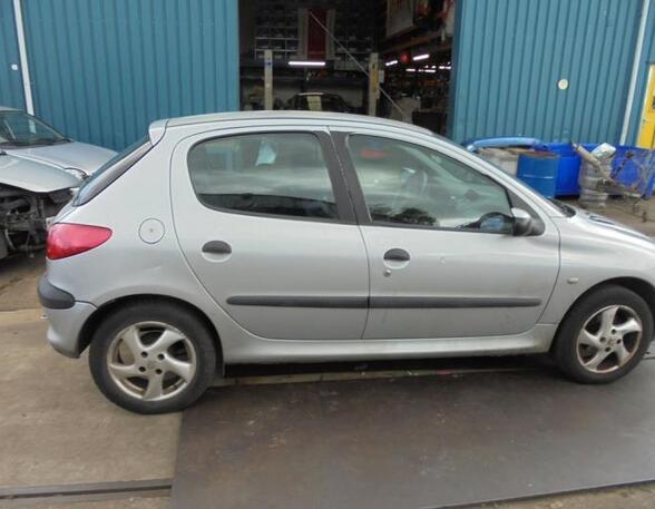 Door PEUGEOT 206 Hatchback (2A/C), PEUGEOT 206 Saloon