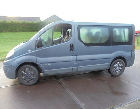 Door RENAULT TRAFIC II Bus (JL)