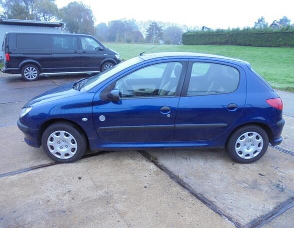 Door PEUGEOT 206 Hatchback (2A/C), PEUGEOT 206 Saloon