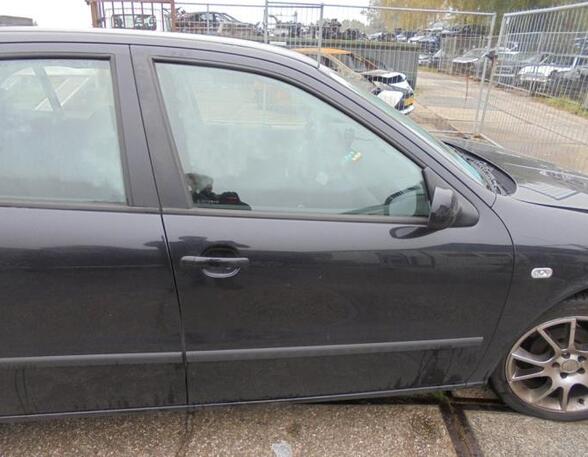 Door SEAT LEON (1M1)