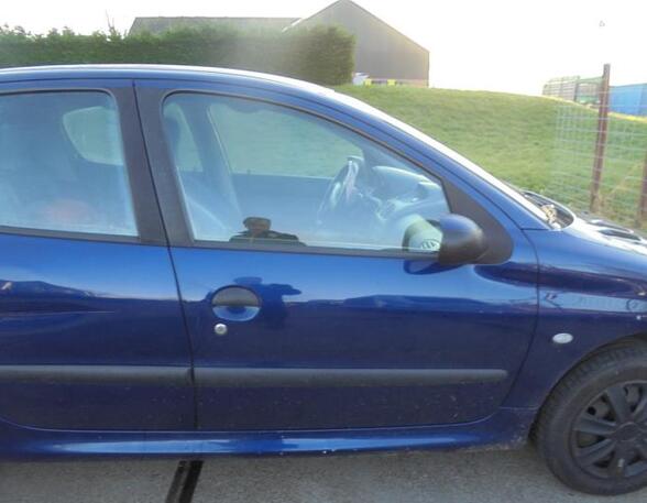 Door PEUGEOT 206 Hatchback (2A/C), PEUGEOT 206 Saloon