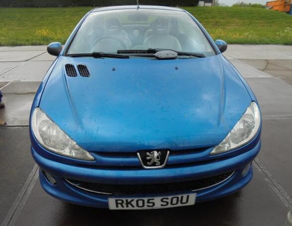 Deur PEUGEOT 206 CC (2D)