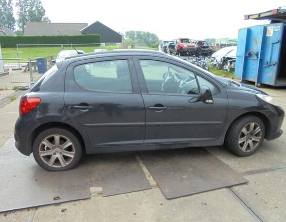 
Tür rechts hinten Peugeot 207  9008S6 P20745016
