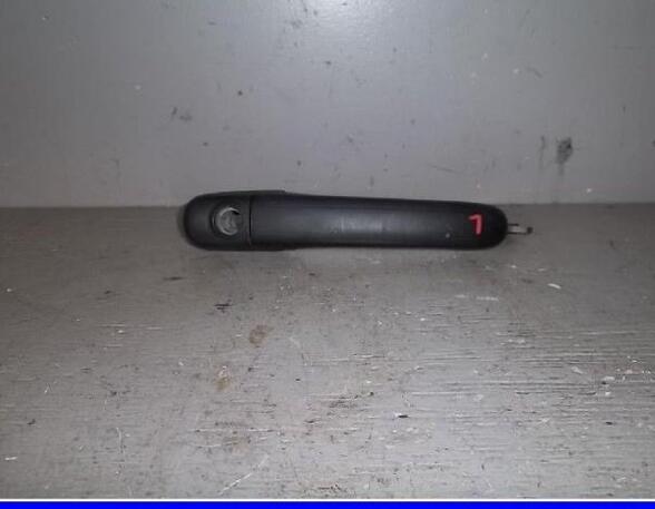 Door Handle VW POLO (6N1)