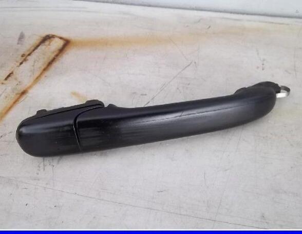 Door Handle VW POLO (6N1)