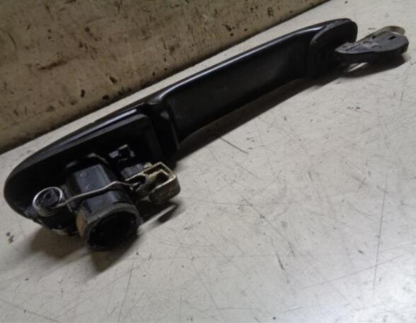 Door Handle VW POLO (6N2)