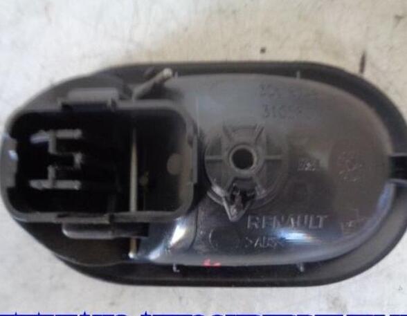 Door Handle RENAULT CLIO III (BR0/1, CR0/1)