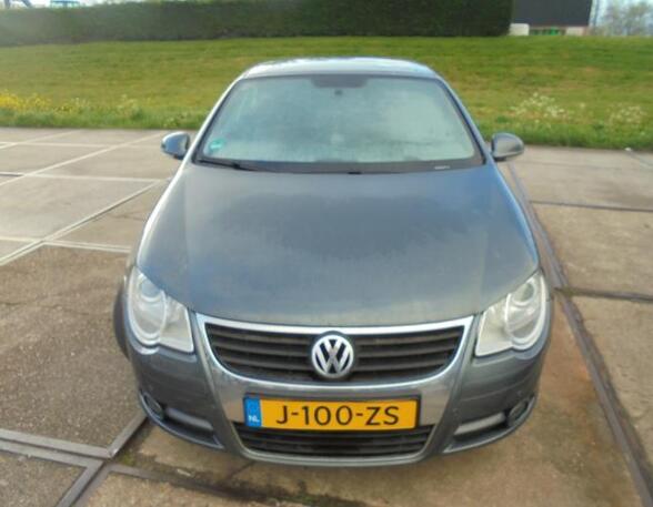 Door Glass VW EOS (1F7, 1F8)