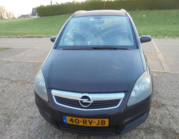 Deurruit OPEL ZAFIRA / ZAFIRA FAMILY B (A05)