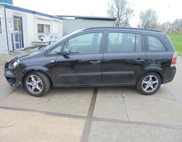 Door Glass OPEL ZAFIRA / ZAFIRA FAMILY B (A05)