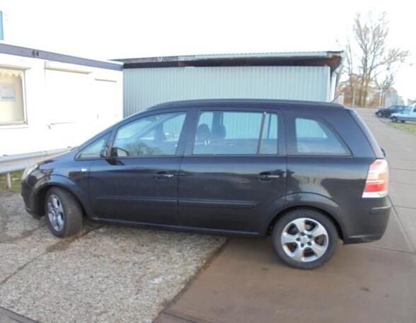 Zijruit OPEL ZAFIRA / ZAFIRA FAMILY B (A05)