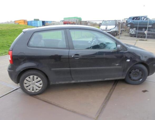 Zijruit VW POLO (9N_)