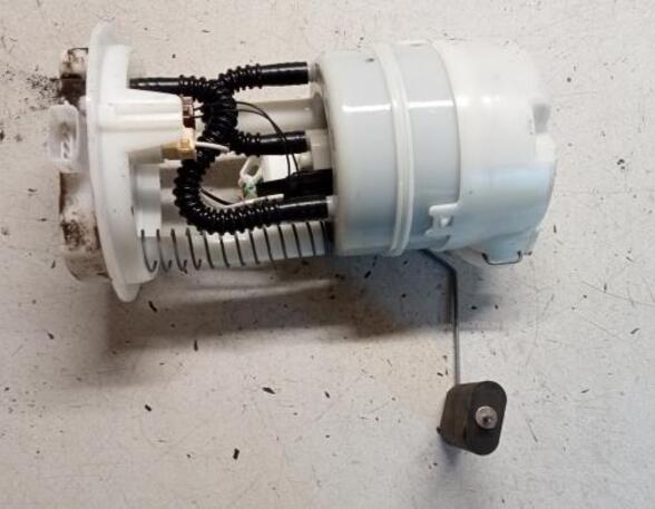 Fuel Pump RENAULT CLIO III (BR0/1, CR0/1), RENAULT CLIO IV (BH_)