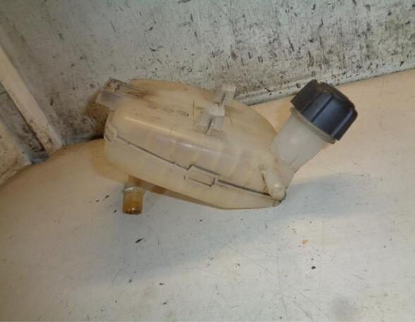 Coolant Expansion Tank RENAULT TWINGO II (CN0_)