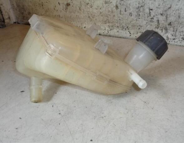 Coolant Expansion Tank RENAULT TWINGO II (CN0_)