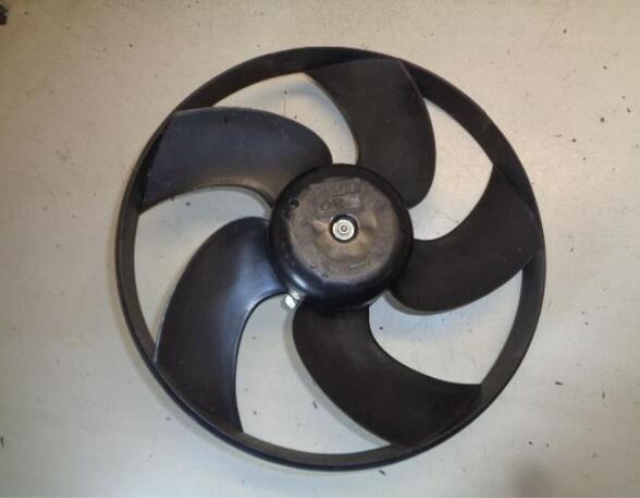 Radiator Electric Fan  Motor PEUGEOT 206 Hatchback (2A/C)