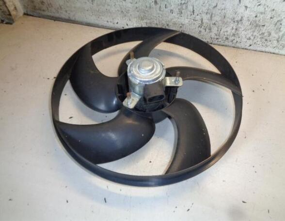 Radiator Electric Fan  Motor PEUGEOT 206 Hatchback (2A/C)