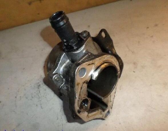 Vacuum Pump RENAULT CLIO III (BR0/1, CR0/1)