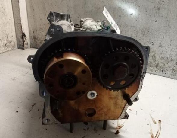 Cylinder Head SEAT IBIZA III (6L1)