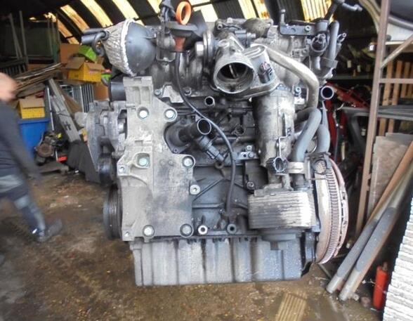 Motor kaal VW JETTA III (1K2)