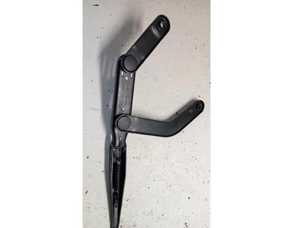 Wiper Arm FORD C-MAX (DM2), FORD FOCUS C-MAX (DM2)