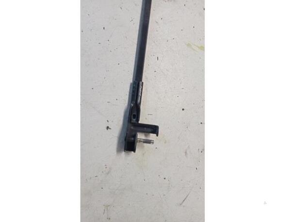 Wiper Arm FORD C-MAX (DM2), FORD FOCUS C-MAX (DM2)