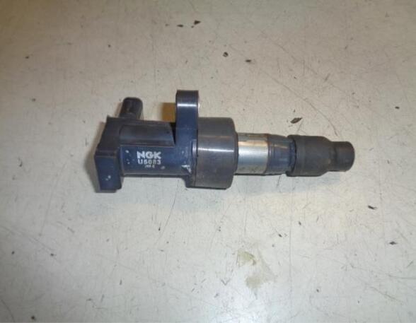 Ignition Coil JAGUAR S-TYPE (X200)