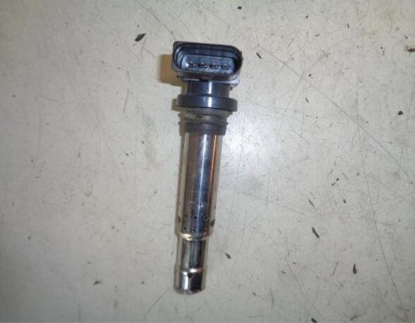 Ignition Coil VW GOLF V (1K1)