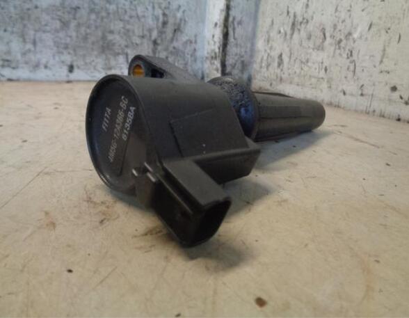 Ignition Coil FORD C-MAX (DM2)