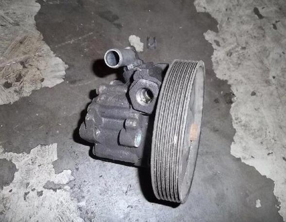 Power steering pump PEUGEOT 406 (8B)