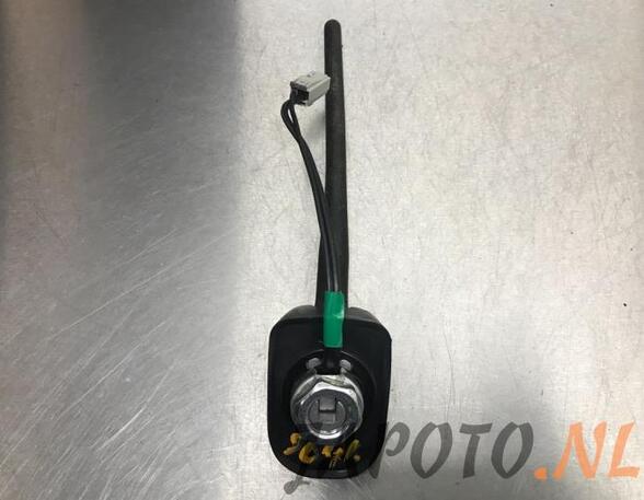 Antenne NISSAN JUKE (F15)