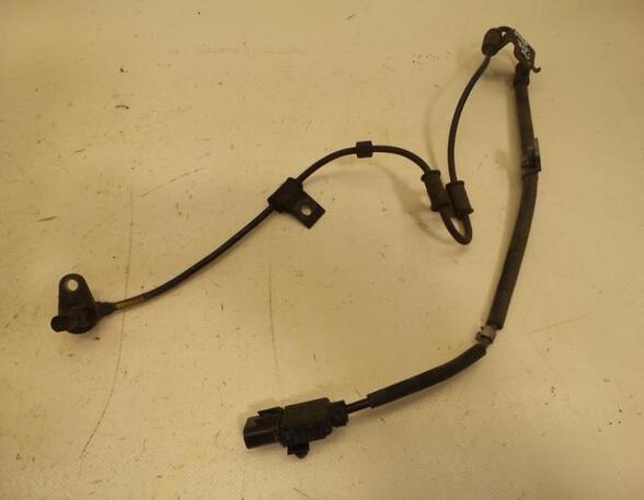 Wiring Harness HYUNDAI ACCENT III Saloon (MC)