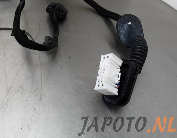 Wiring Harness KIA NIRO I (DE)