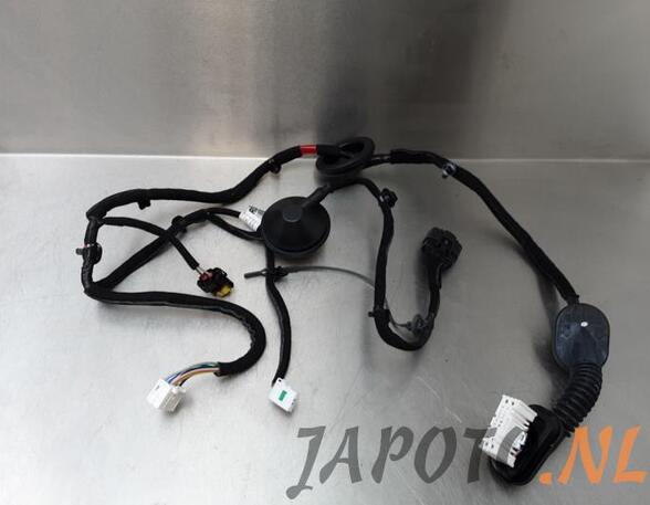 Wiring Harness KIA NIRO I (DE)