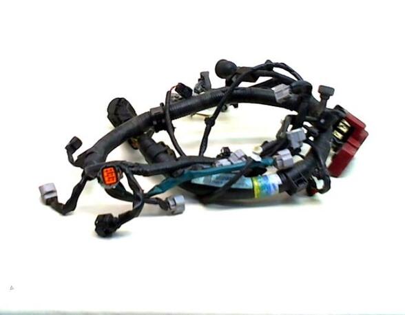 Wiring Harness SUZUKI ALTO (GF)