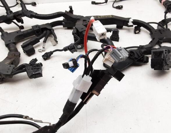 Wiring Harness TOYOTA RAV 4 V (_A5_, _H5_)