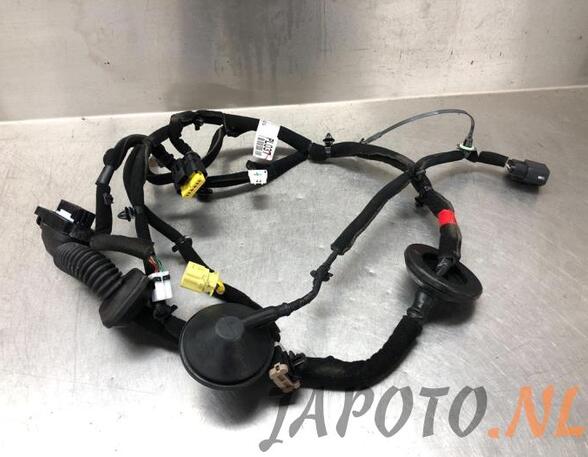 Wiring Harness KIA NIRO I (DE)