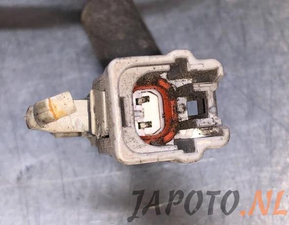 Wiring Harness NISSAN QASHQAI / QASHQAI +2 I (J10, NJ10, JJ10E)