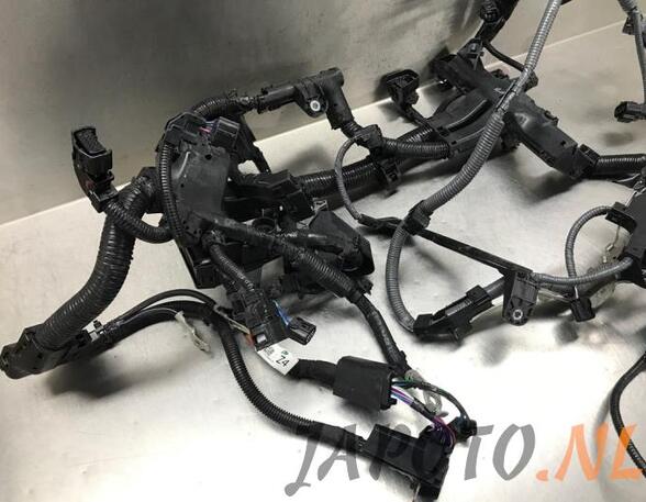 Wiring Harness TOYOTA YARIS (_P21_, _PA1_, _PH1_)