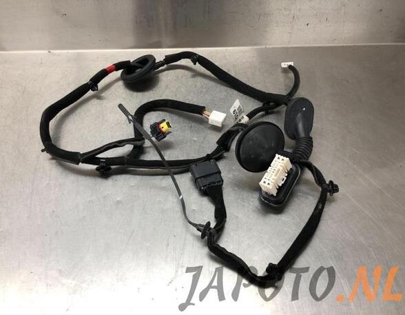 Wiring Harness KIA NIRO I (DE)