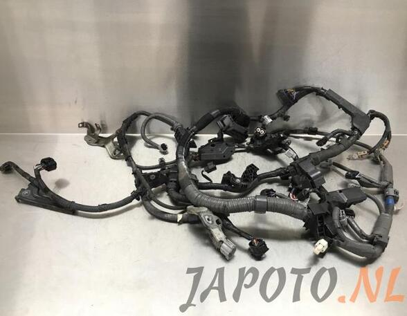 Wiring Harness TOYOTA AURIS (_E15_), TOYOTA AURIS (_E18_), TOYOTA AURIS Estate (_E18_)