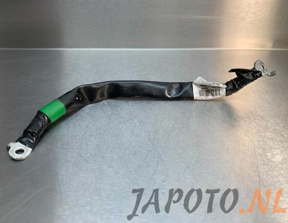 Wiring Harness HYUNDAI i20 (GB, IB), HYUNDAI i20 II Coupe (GB), HYUNDAI i20 ACTIVE (IB, GB)