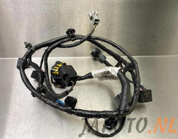 Wiring Harness HYUNDAI i20 (GB, IB), HYUNDAI i20 ACTIVE (IB, GB), HYUNDAI i20 II Coupe (GB)