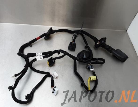 Wiring Harness KIA NIRO I (DE)