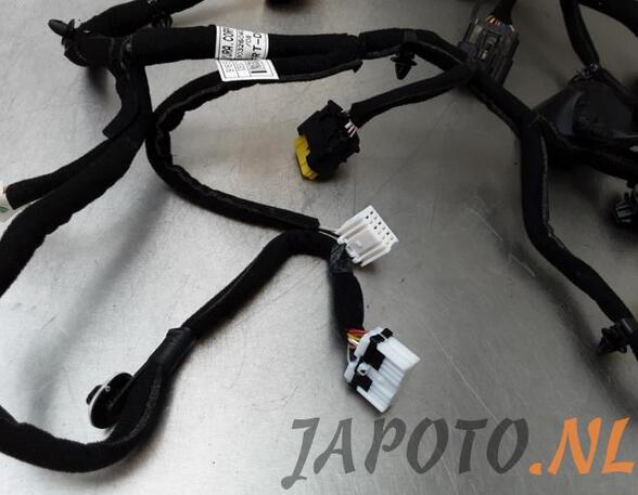 Wiring Harness KIA NIRO I (DE)