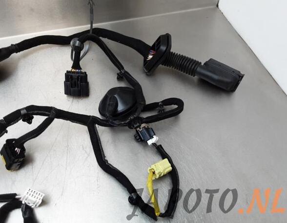 Wiring Harness KIA NIRO I (DE)