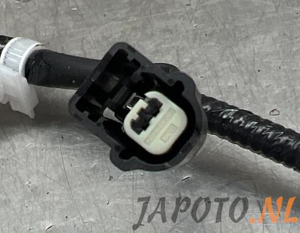 Wiring Harness TOYOTA YARIS (_P21_, _PA1_, _PH1_)