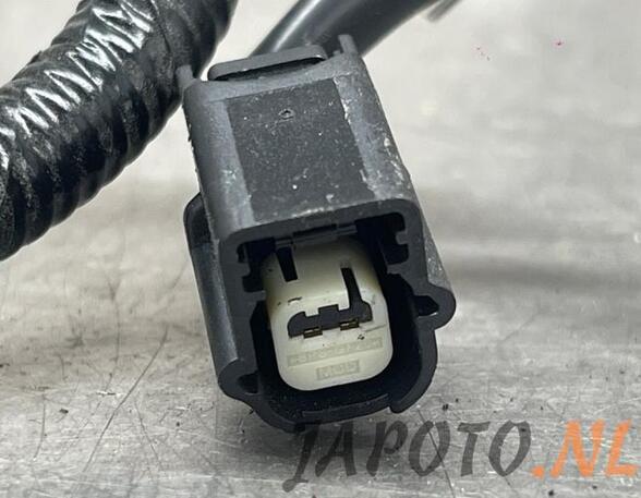 Wiring Harness TOYOTA YARIS (_P21_, _PA1_, _PH1_)