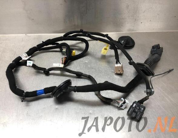 Wiring Harness KIA NIRO I (DE)