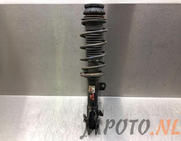 Suspension Strut SUZUKI IGNIS III (MF)